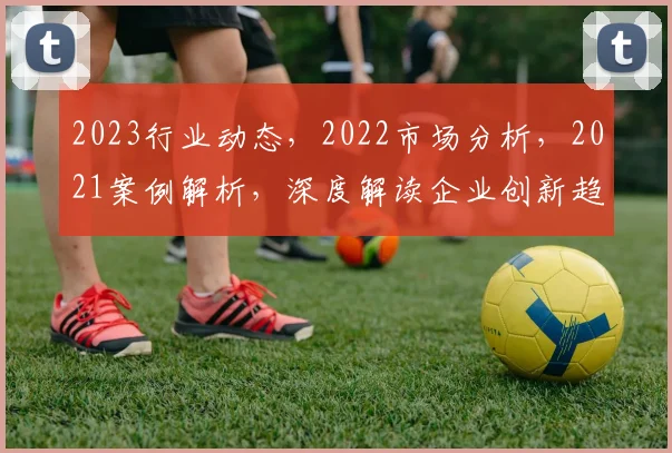 2023行业动态，2022市场分析，2021案例解析，深度解读企业创新趋势