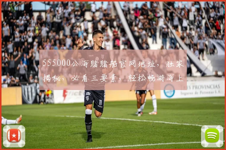 555000公海赌赌船官网地址，独家揭秘，必看三要素，轻松畅游海上娱乐