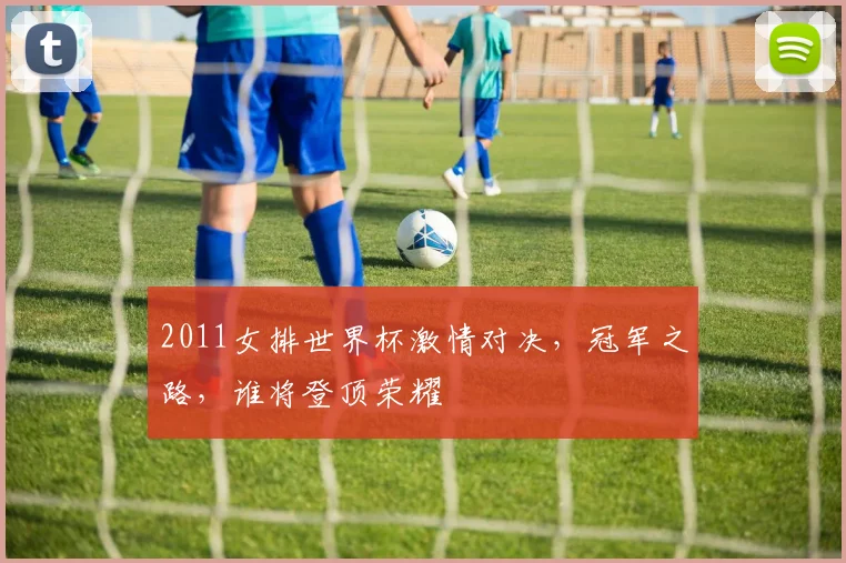 2011女排世界杯激情对决，冠军之路，谁将登顶荣耀