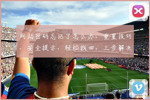 网站密码忘记了怎么办，重置技巧，安全提示，轻松找回，三步解决
