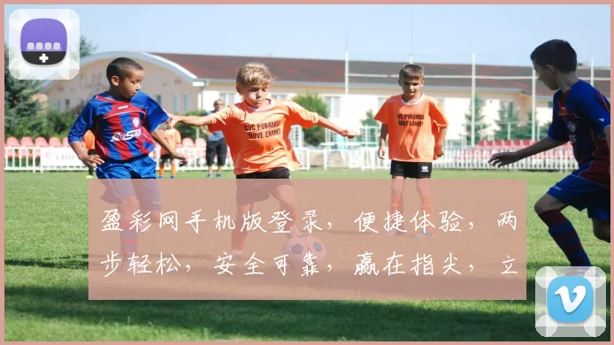 盈彩网手机版登录，便捷体验，两步轻松，安全可靠，赢在指尖，立即登录