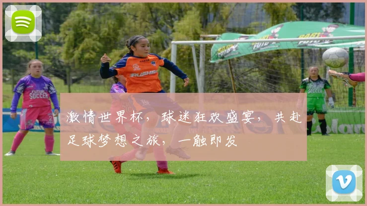 激情世界杯，球迷狂欢盛宴，共赴足球梦想之旅，一触即发