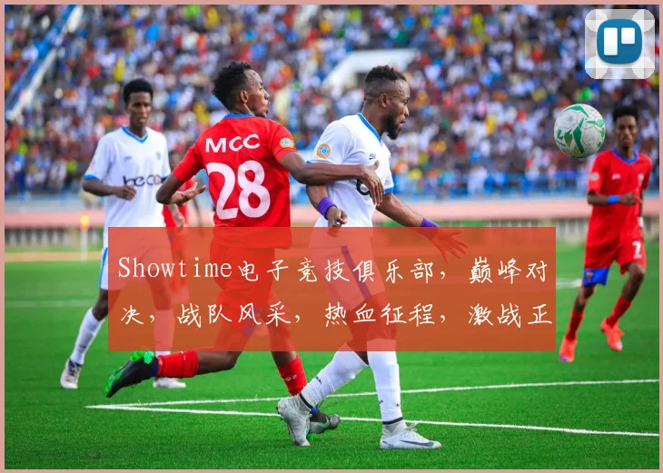Showtime电子竞技俱乐部，巅峰对决，战队风采，热血征程，激战正酣